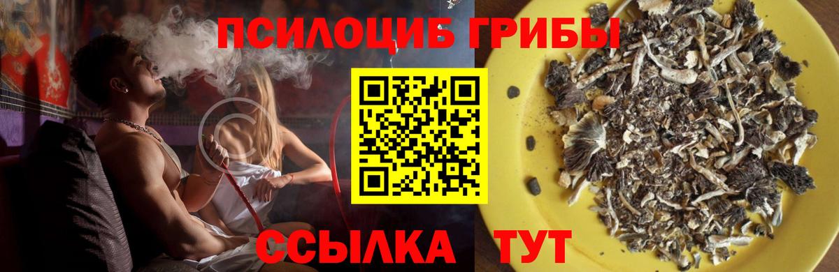 Галлюциногенные грибы MAGIC MUSHROOMS Люберцы